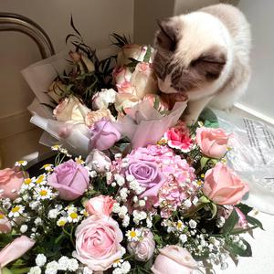 国产成人午夜福利电影在线观看
